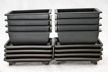 8 Sets Rectangular Plastic Shohin Bonsai Training Pot, Cactus & Succulent Planter + Tray 5 inches x 3.5 inches x 2 inches , Black