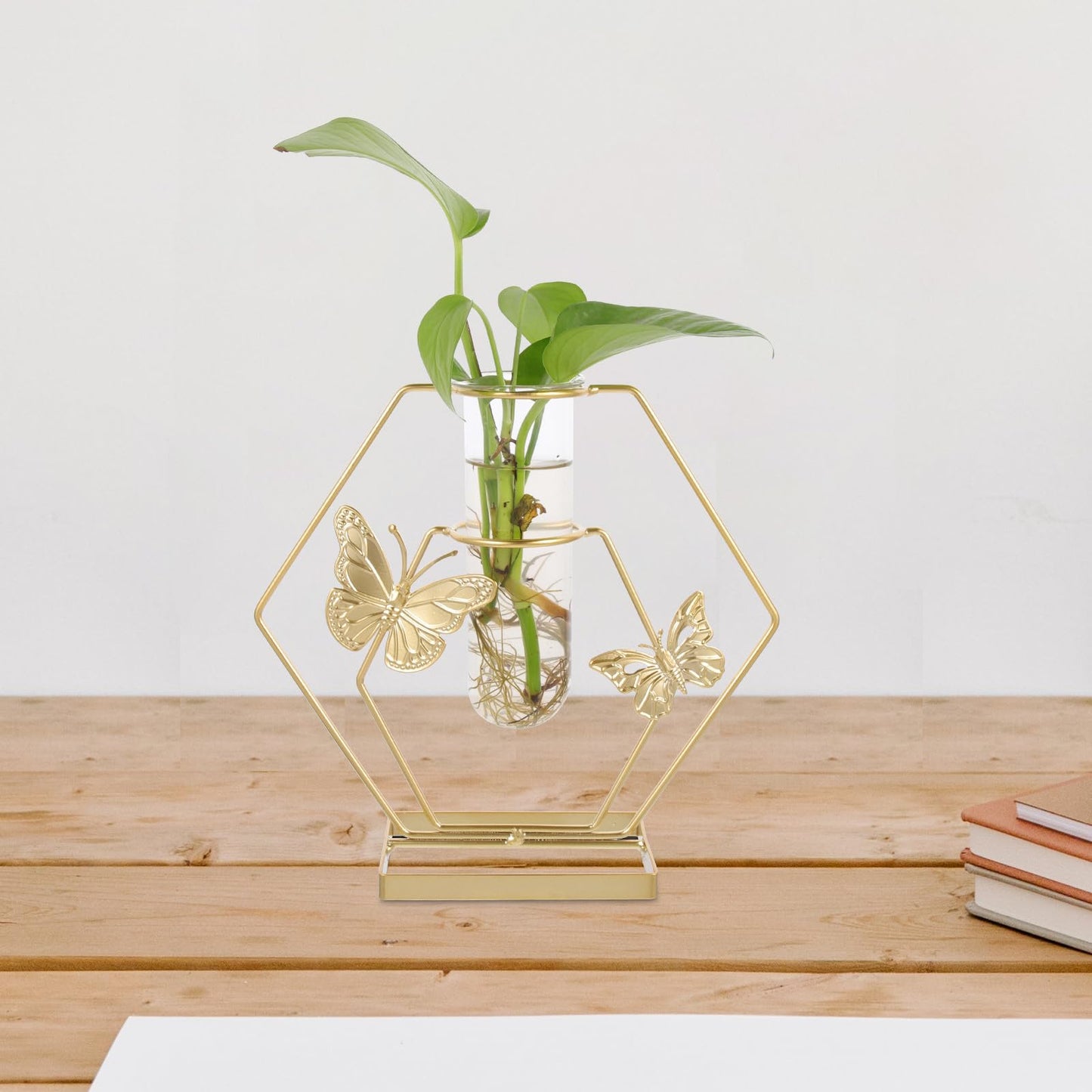 JOINPAYA Hydroponic Glass Flower Vase with Metal Hexagonal Frame, Butterfly Pattern Decorative Desktop Terrarium, Delicate Plant Holder for Home and Office Décor