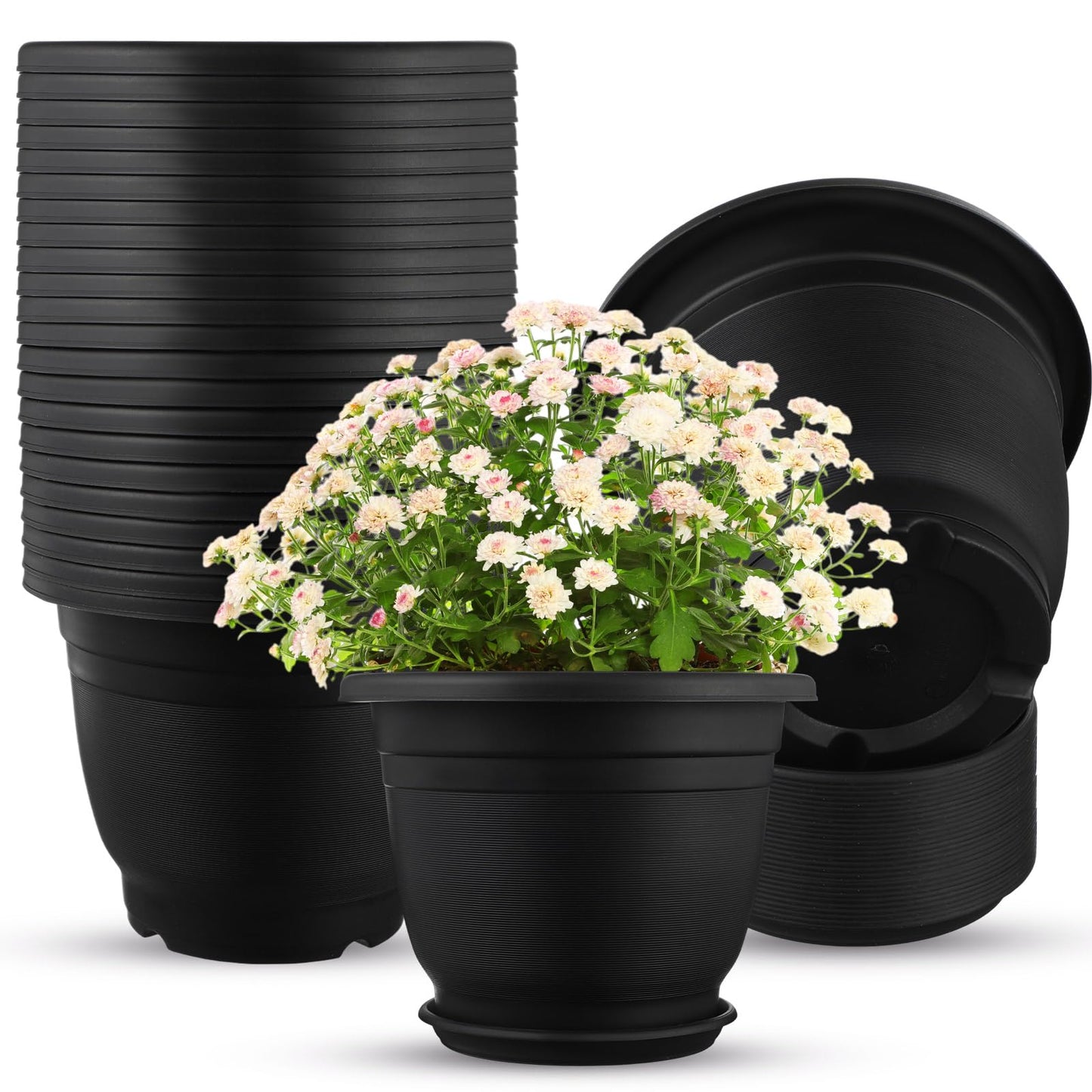 Sunnychicc 12 Pack 10'' Plastic Plant Pots Round Planter Pots with Saucer Tray Seedling Pot Hole Seed Resin Plant Pot Starting Nursery Flower Container with Pallet for Garden Outdoor Indoor(Black)