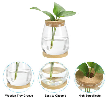 PATIKIL Plant Propagation Station Glass Vases, 2 Pack Desktop Round Planter Terrarium Vase with Wooden Tray & Lid for Hydroponic Office Home Decor Plants Indoor, Brown