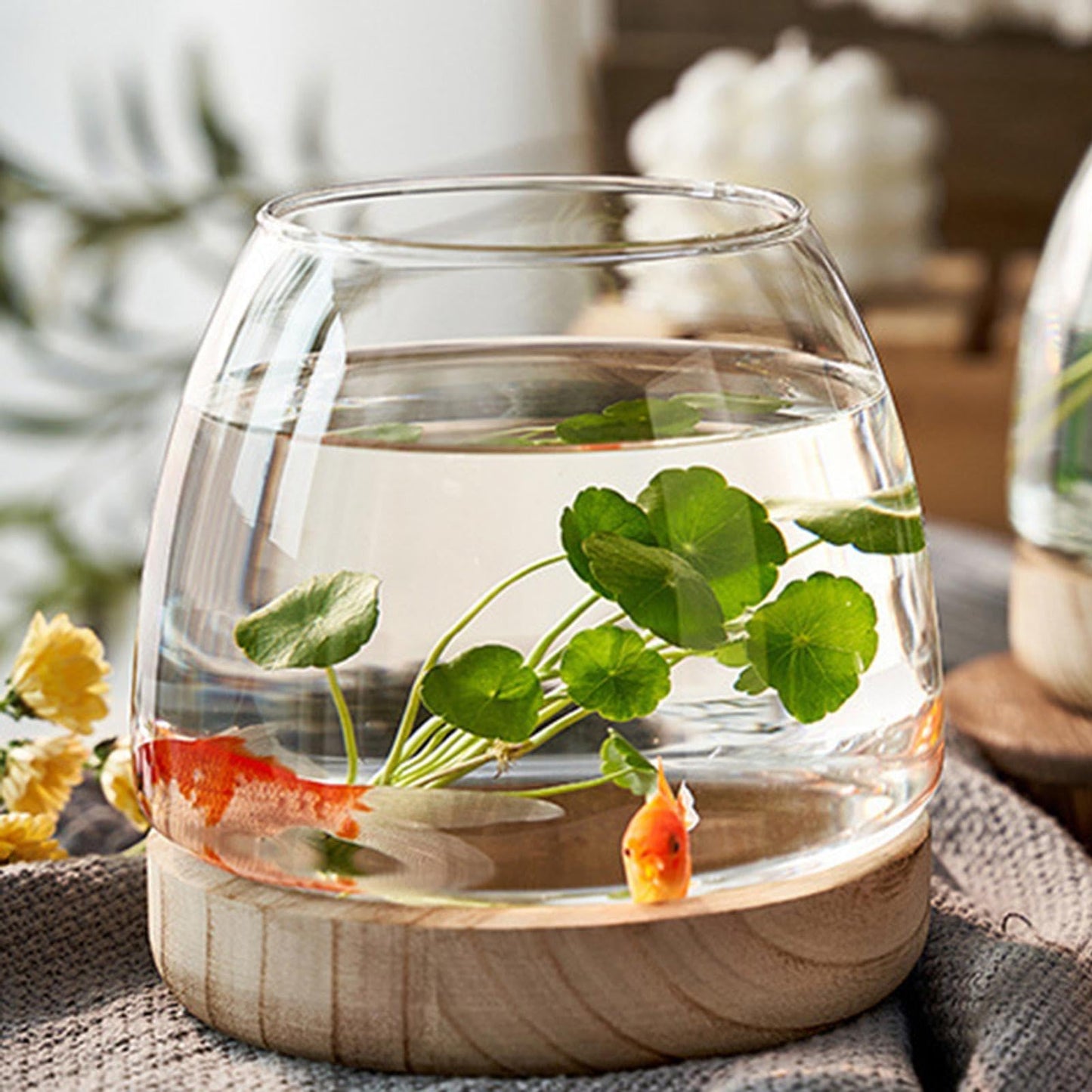 Hydroponic Plant Vase - durablee Transparent Glass Fish Bowl with Wooden Stand, Wide Mouth Terrarium Vase | Comfortable Hydroponic Plant Terrarium, Clear Hydroponic Planter for Home Decoration