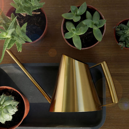 KooingTech Watering Can, 1500ml Stainless Steel Long Spout Watering Cans, Gold Water Can Suitable for Potted Plants, Hanging Plants, and Outdoor Gardens