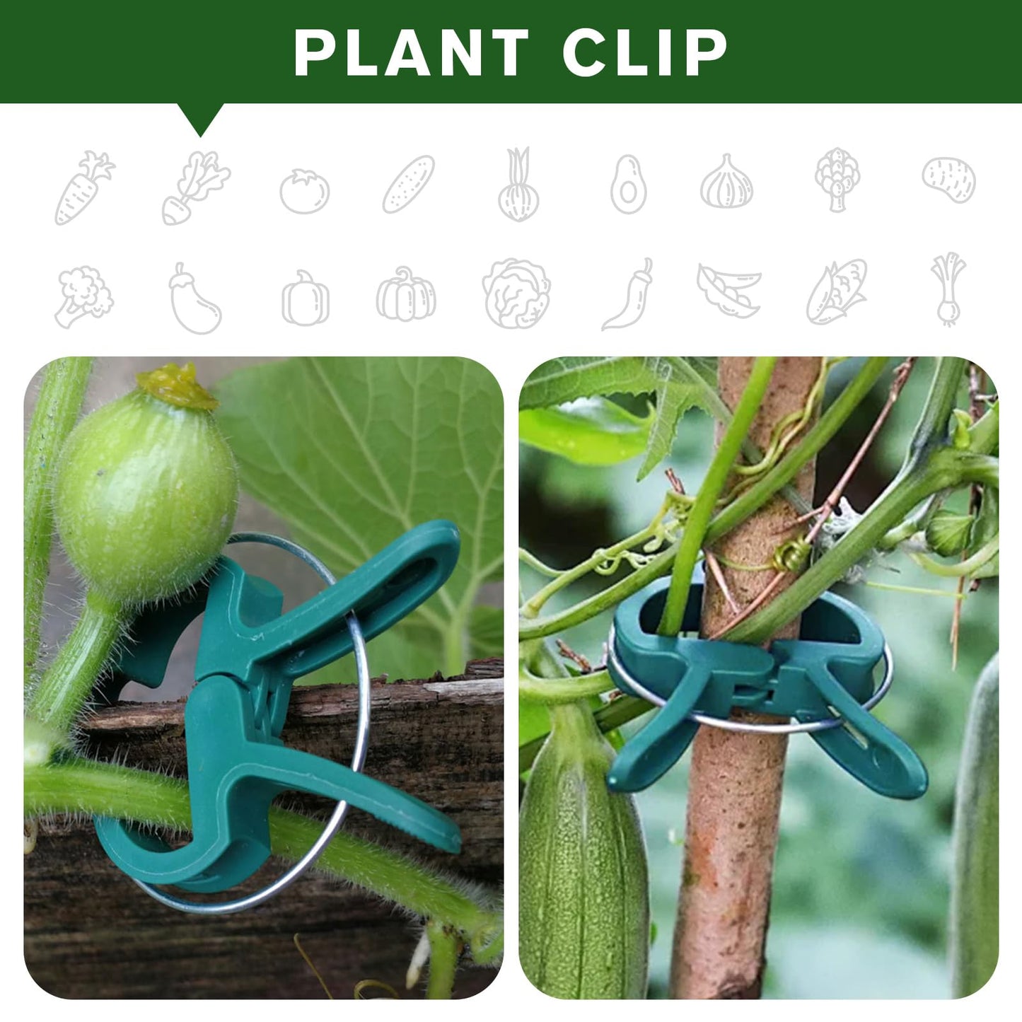 Iniscape A Plant Clamp Used for Climbing Plants,Horticultural Clip Used to Support Climbing of Flower Stems, Vines, Vegetables, and Tomatoes,Vine Clip for Garden Vine Training (Green, 60 small60 Big)