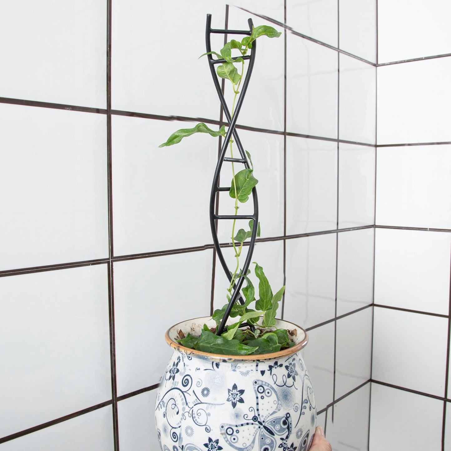 Goooxim DNA Spiral Plant Trellis Indoor - Durable Metal Trellis for Potted Plants, Perfect for Small Houseplant Pots, Ideal for Ivy and Pothos, Space-Saving Vertical Support for Climbing Growth