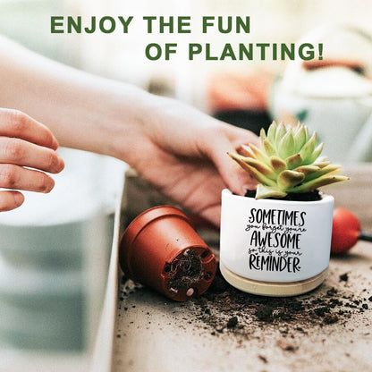 Aryabtya Cute Succulent Planter, Flower Cactus Plant Pot Gifts, Thank You Inspirational Gifts for Women Men Coworkers Teachers Plant Lovers, Office Home Windowsill Indoor Decor (No Plants)