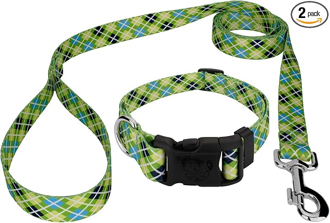 Country Brook Petz - Margarita Argyle Everyday Collar and Leash - Plaid and Argyle Collection Featuring Charming Designs (1/2 Inch, 2XS)