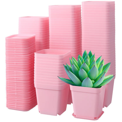 HOIGON 100 Pack 2.75 Inch Pink Square Nursery Pot, 7cm Thickened Plastic Nursery Pots with Drain Holes Trays, Small Square Planting Containers Bulk Set for Seedling Flower Tomatoes Basil
