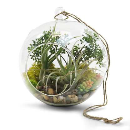 WGVI WGV Hanging Terrarium Globe, Width 8", Height 9", DIY Air Succulent Planter, Clear Glass Vase Orb with Flat Bottom, Candle Holder for Windowsill Outdoor Garden Decor, 1 Piece