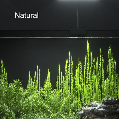 Carefree Fish Aquarium 24/7 Mode Timer Full Spectrum CRI 82 Clip LED Light IR Remote Control for 5~25Gal Fish Tank 12V1A 10 Brightness Levels 16W with ULCertified Power Supply