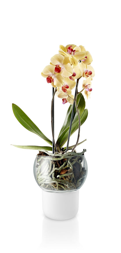 Eva Solo | Orchid Pot | Ø15cm Self-Watering Orchid Pot | Keeps Indoor House Plants, Flowers, Herbs & Vegetables Watered & Healthy | Danish Design, Functionality & Quality | Frosted Glass