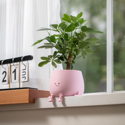 TOPOLA Happy Face Planter, 5.2 Inches Plastic Plant Pot, Self Watering Plant Pot with Drainage Holes for Indoor Outdoor, Succulent Pot, Funny Flower Pot, Sakura