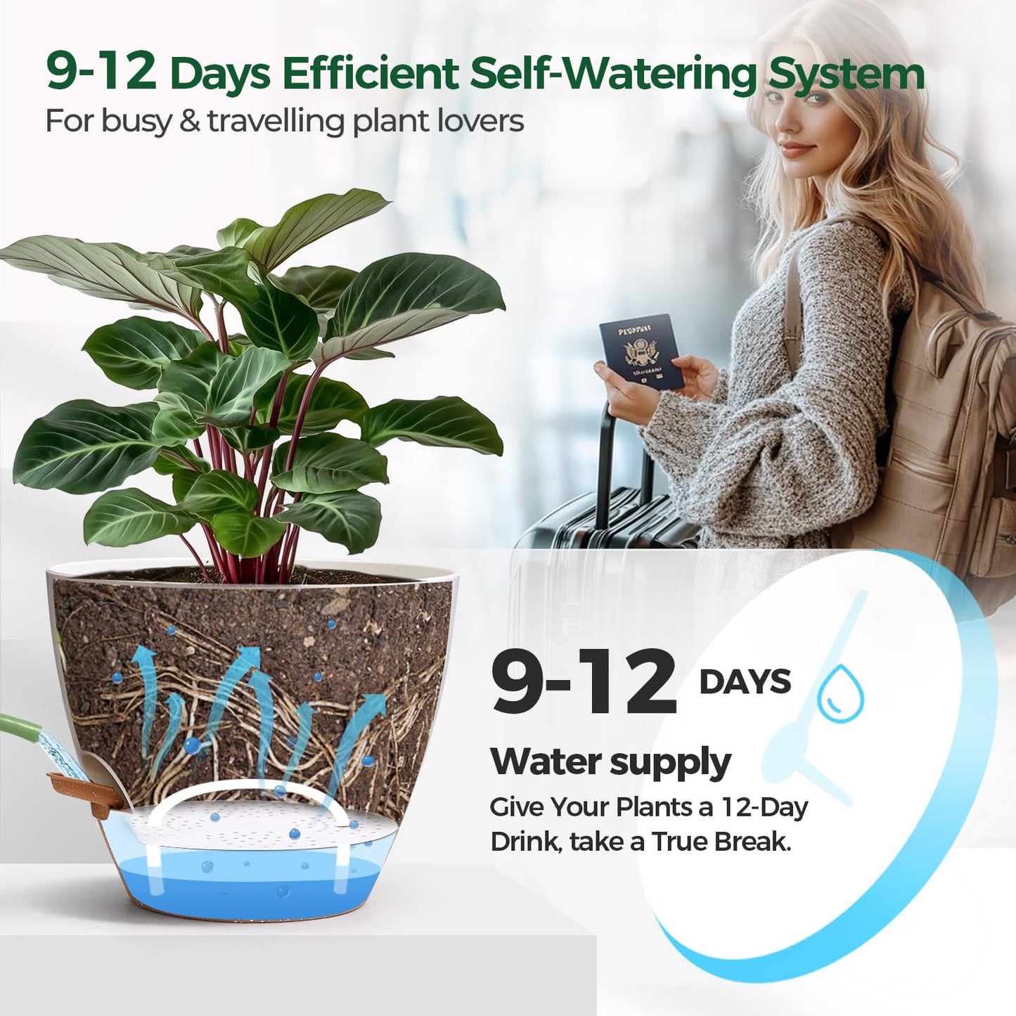 T4U 12 Inch Self Watering Pot - Water Level Indicator & Deep Reservoir, Mess-Free Planter for Busy People, Beginners & Gardeners, Fits Rubber Tree/Fiddle Leaf Fig Plants, Indoor Outdoor Use (White)