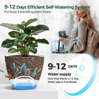 T4U 12 Inch Self Watering Pot - Water Level Indicator & Deep Reservoir, Mess-Free Planter for Busy People, Beginners & Gardeners, Fits Rubber Tree/Fiddle Leaf Fig Plants, Indoor Outdoor Use (White)