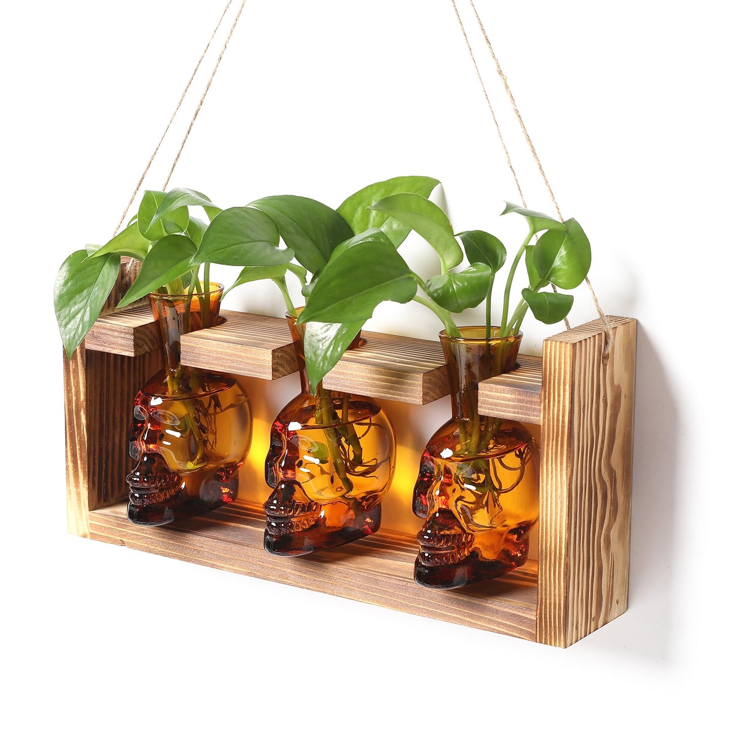 Plant Terrarium Propagation Stations Hydroponics Halloween Skull Planter Vase Skulls Decor with Wooden Stand Gift for Father