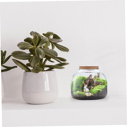 HYTROVE Micro Landscape Bottle Terrarium for Plants Creative DIY Desk Decor Simple Glass Ecological Bottle Lid for Indoor Gardening and Home Decoration