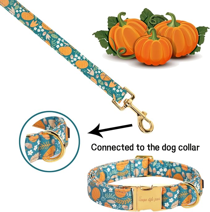 Unique style paws Fall Dog Leash with Soft and Comfy Handle Dog Traction Rope for Dogs and Cats-Green Pumpkin-S