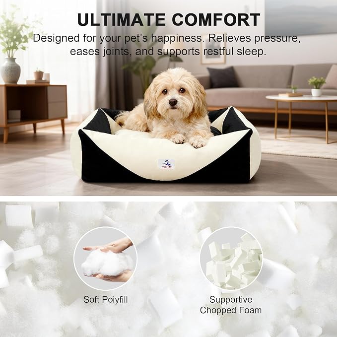 Cotton Canvas Dog Bed, Cute Dog Beds for Small Dogs, Puppy Bed with Washable Removable Cover, Durable 290 GSM Cotton Anti-Chewing Pet Bed with Anti-Slip Bottom (24"x20"x8", Black&White)