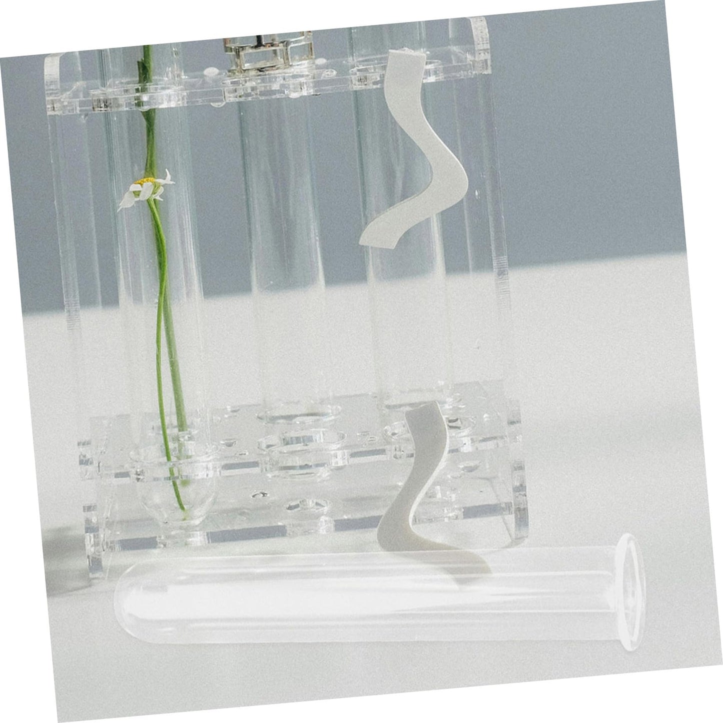 Ciieeo 5pcs Glass Hydroponic Plant Propagation Tubes Desk Vase for Live Plants Transparent Terrarium Tubes for Home Office Decoration and Floral Arrangements