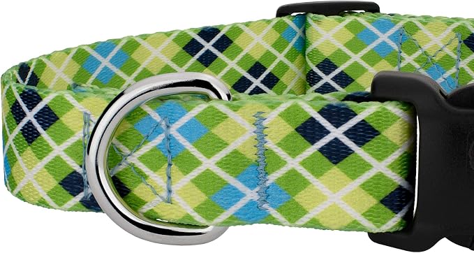 Country Brook Petz - Margarita Argyle Everyday Collar and Leash - Plaid and Argyle Collection Featuring Charming Designs (1 Inch, Large)