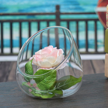 HOMOCONO 3pcs Slant Cut Glass Micro Landscape Bottle Ecological Terrarium Vase for Succulent Plants Desktop Tabletop Decoration