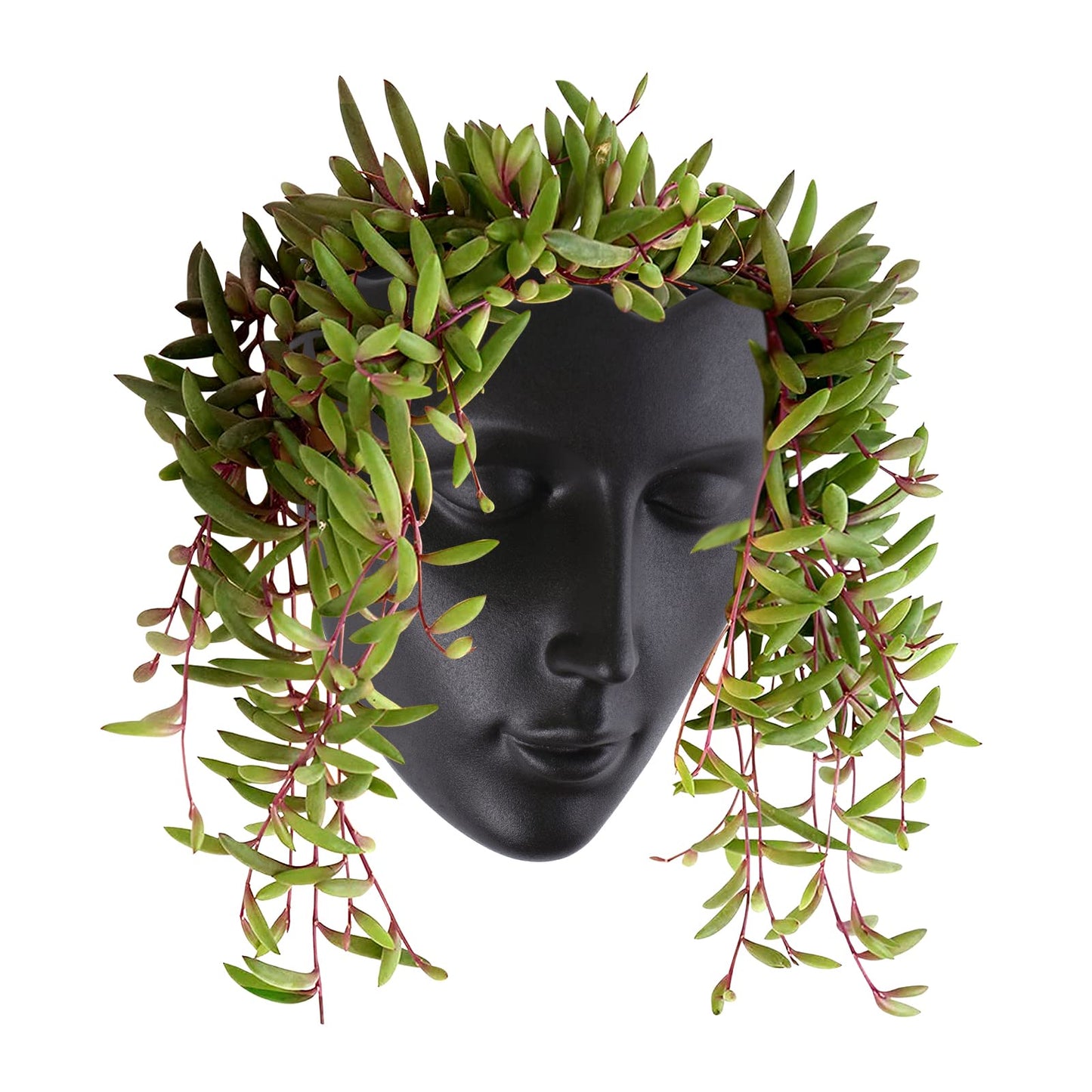 Notakia Face Planter Pot Wall Mounted Outdoor/Indoor Planter with Drainage for Succulents, Cactus, and Small Plants Unique Home Decor Gift for Friends and Family (Black)