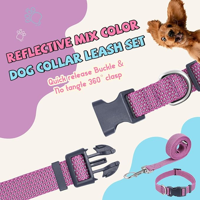 Reflective Dog Collar and Leash Set, Nylon Dog Leash with Heavy-Duty Steel D-Ring, Adjustable with Quick Release Buckle for Small Dogs, Purple S