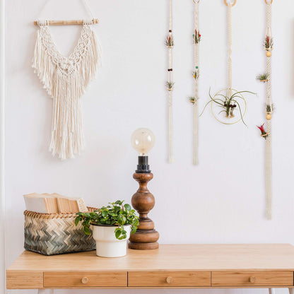 Tatuo 4 Pieces Hanging Air Plant Holders Boho Macrame Plant Hanger Fabric Woven Air Fern Display with 4 Pieces Hooks for Home Decoration Gift Idea