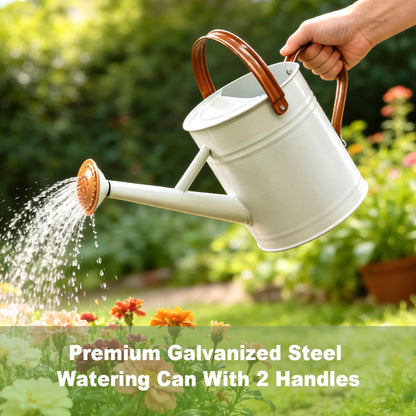 Watering Can for Outdoor&Indoor Plants，1 Gallon Metal Watering Can with with Removable Spout，Galvanized Steel Garden Flower Water Can Plant Watering Pot with 2 Handles，White