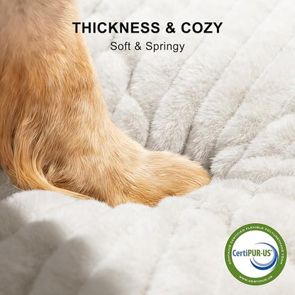 FURTIME Dog Bed for Small Medium Dog, Washable Orthopedic Pet Bed with Removable Cover, Rectangle Soft Calming Sleeping Puppy Bed Durable Pet Cuddler with Anti-Slip Bottom, Cream, M (25"x21"x7")