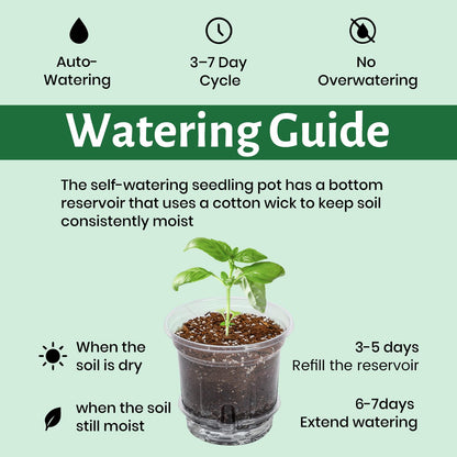 Bluepro 18 Pack 6.5/5/4 Inch Clear Self Watering Plant Pots with Bottom Water Tray & Watering Rope, Transparent Nursery Pots with Drainage for Seedlings, Herbs, and Houseplants