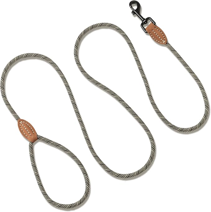 Mile High Life Small Dog Leash, Thin Rope Leash with Genuine Leather Connection and Heavy Duty Metal Clasp, Great for Small Medium Dogs(White,72 Inch-1/3)
