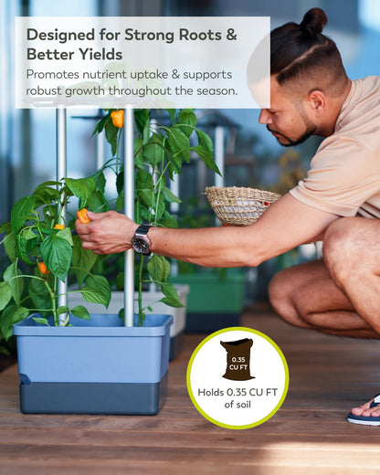 BUZZY Seeds Charly Chili Self-Watering Planter with Vertical Trellis – 1.2 Gal Reservoir, Large Capacity Planter for Chili Peppers, Bell Peppers & Eggplants (Blue)