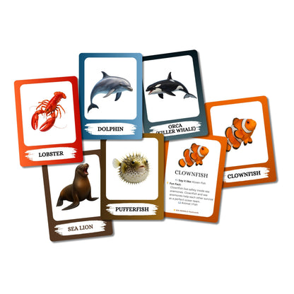 The Biblio Hub Sea Animals Flashcards – Non-Tearable Synthetic Learning Cards for Toddlers, Preschool & Kindergarten, Double-Sided Set