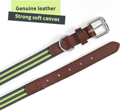 Mile High Life Genuine Leather Dog Collar, Heavy Duty Canvas Collar with Adjustable Metal Pin Buckle for Small Medium Large Dogs (Lime Green, M Neck 15"-18")