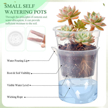 Ferrochef 30 Pcak 2.2'' Small Self Watering Planters for Indoor Plants Mini Clear Pots with Water Level Indicator Plastic Automatic-Watering Pot with Drainage Holes for Semi-hydroponic African Violet