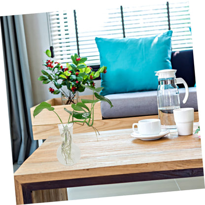 ORFOFE 2pcs Hydroponic Glass Vase Flower Terrarium Plant Terrarium for Home Office Dec
