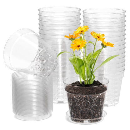 WSMKSZ 4 Inch Clear Nursery Pots, Set of 30 Transparent Plant Flower Pots for Small Indoor Plants with Drainage Holes & Trays, Plastic Seedling Starter Pots for Various Plants