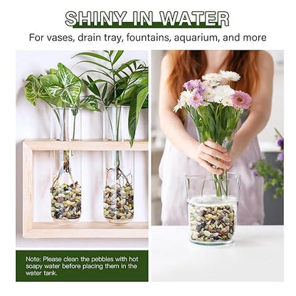 NUPICK 3 lbs Pebbles for Indoor Plants, 3/8 Inch Pea Gravel for Fish Tank, Polished Decorative Rocks for Succulent, Natural River Stones for Vases, Cactus, Landscaping, Bird Bath, Aquarium, Colorful