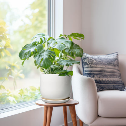 SUNPOTFOR Ceramic Plant Pot - Modern 8 Inch Round Planter for Indoor Outdoor Plants with Drainage Hole and Saucer, Home House Room Office Decor, White