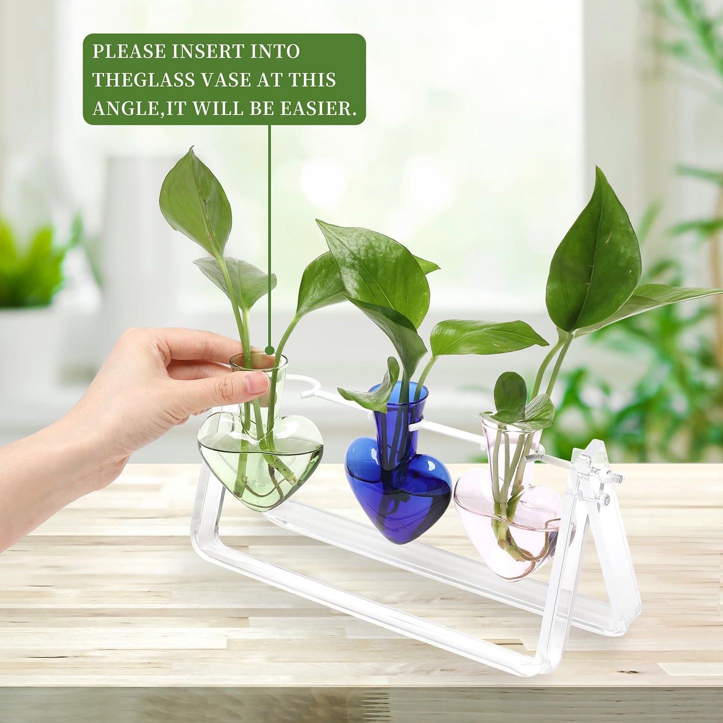 CYZglass Clear Plant Terrarium Propagation Stations with Acrylic Stand Birthday Gifts for Women Office Home Decor