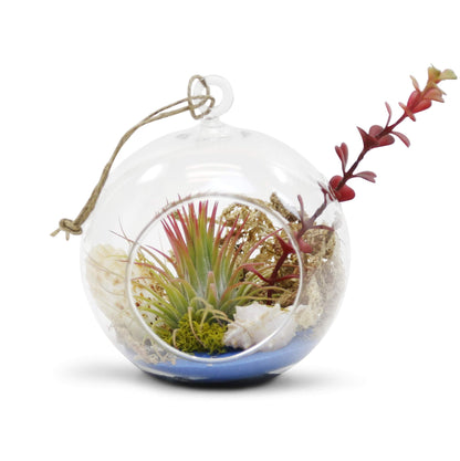WGV Hanging Terrarium Globe, Width 5", Height 6", DIY Air Succulent Planter, Clear Glass Vase Orb with Flat Bottom, Candle Holder for Windowsill Outdoor Garden Decor, 1 Piece