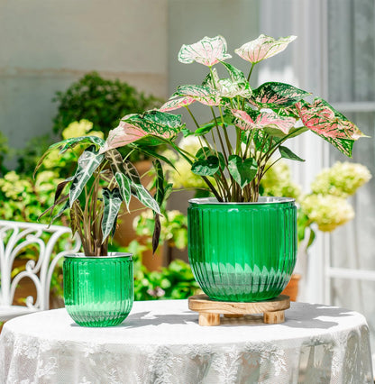 Melphoe Self Watering Pots for Indoor Plants, 8.3/5.3 Inch 2 Pack and 2Pack 8 inch Flower Pots