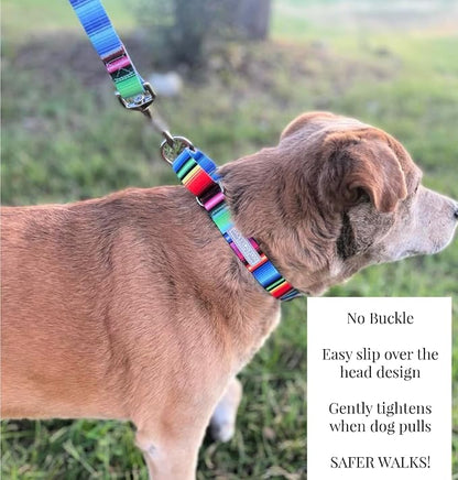 Lucky Love Dog Martingale Dog Collar - Adjustable, No-Slip, Durable, & Soft Webbing Collar for Male and Female Dogs Ideal for Training & Walking - Nacho, Medium