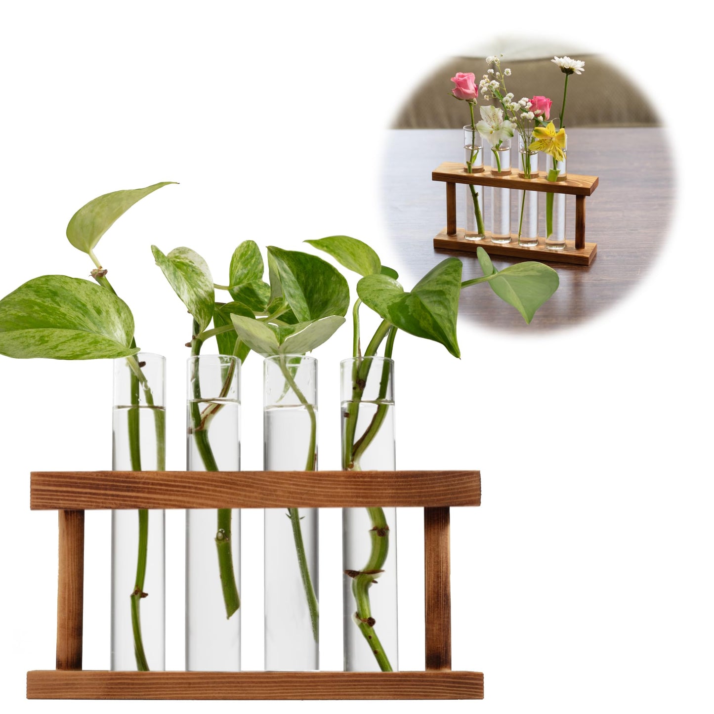 D'Eco Glass Plant Propagation Station (Set of 4 Tubes w Wooden Display) - Grow Hydroponics & Watch Them Grow Roots - Tabletop Vases for Spring Home & Office Decor for Plant Lovers