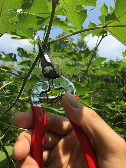 gonicc 8" Professional Premium Titanium Bypass Pruning Shears (GPPS-1003), Hand Pruners, Garden Clippers, Bonsai Cutters (Red Micro-Tip Pruning Snip)