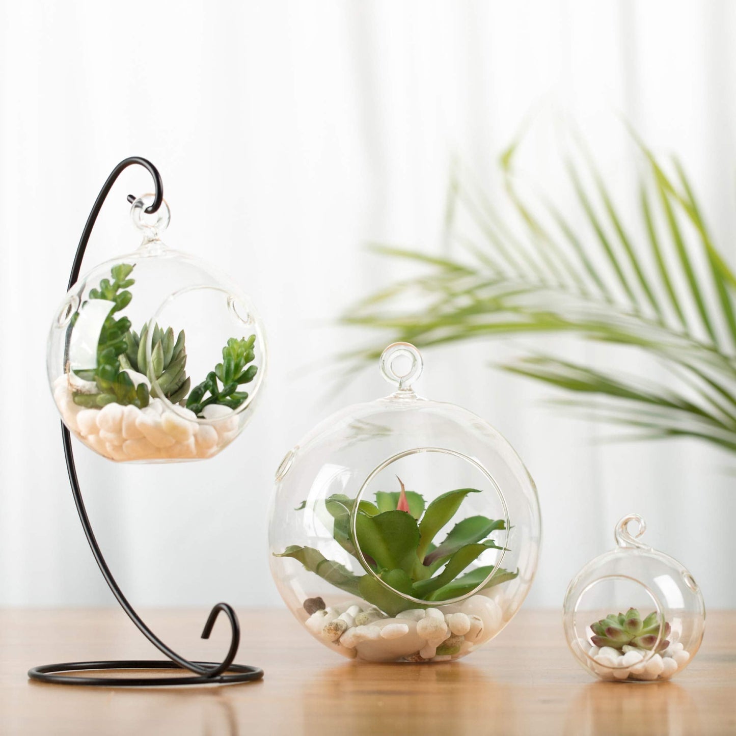 WGV Hanging Terrarium Globe, Width 2.5", Height 3", DIY Air Succulent Planter, Clear Glass Vase Orb with Flat Bottom, Candle Holder for Windowsill Outdoor Garden Decor, 12 Pieces Bulk