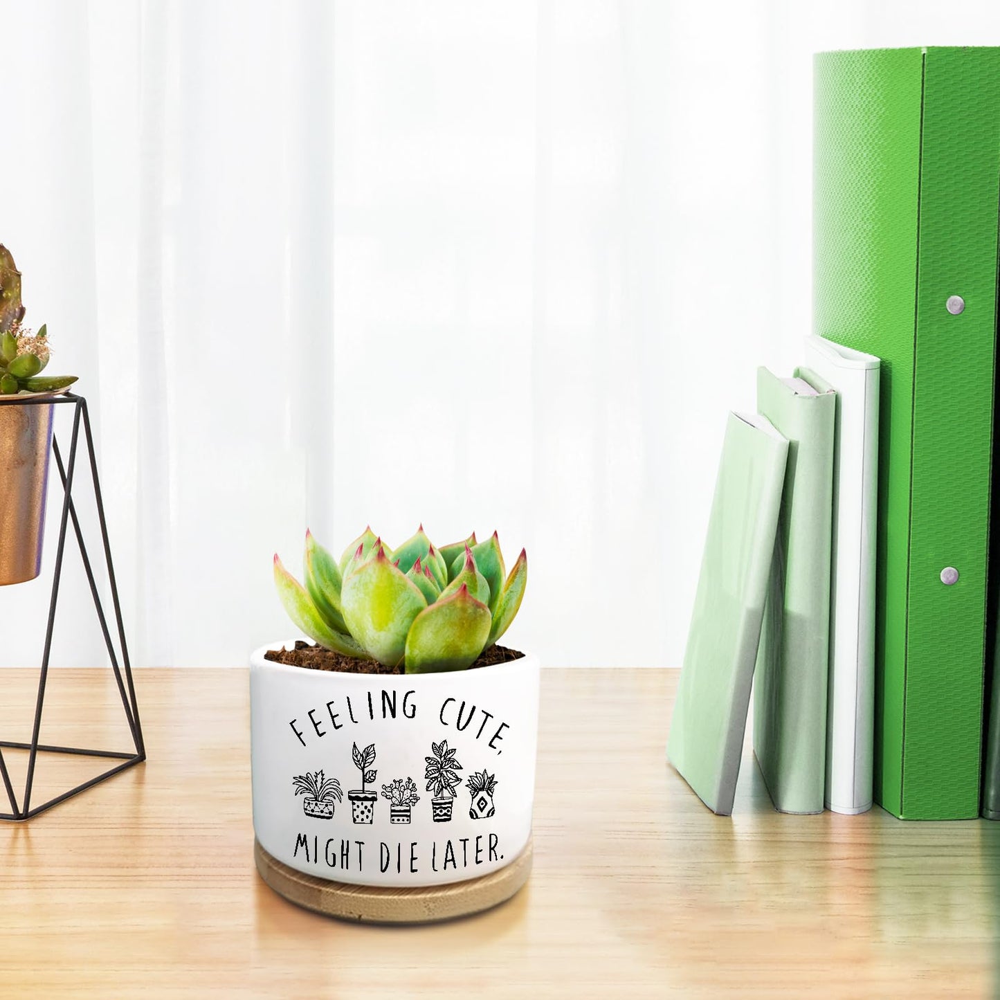 Jutasty Funny Succulent Plant Pot, Small Flower Planter for Indoor Plants, Cute Ceramic Cactus Planter Pots with Drainage, Windowsill Desk Decor Unique Planter Gift, Feeling Cute (No Plants)