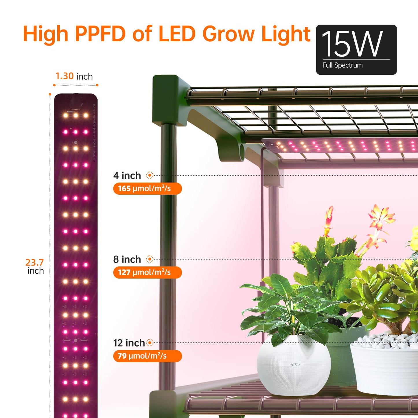 Bstrip Indoor Greenhouse with Grow Lights, 4 Tier 27.2" L×19.9" W×61.8" H Mini Greenhouse with Zippered PVC Cover for Seed Starting Trays, Dimmable 2FT 60W Plant Light for Indoor Plants with Timer