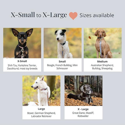 Lucky Love Dog - Adjustable Dog Collar with Easy Click Buckle for Small Dogs, Durable, & Comfortable for Male & Female Dogs, Pet Collar for Puppies & Adult Dogs - SOCO, Small