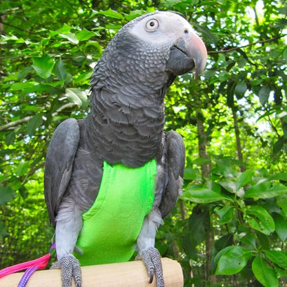Avian Fashions FeatherWear FlightSuit X-Wide Long(11) Bird Diaper in Lime Green
